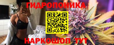 наркотики Будённовск
