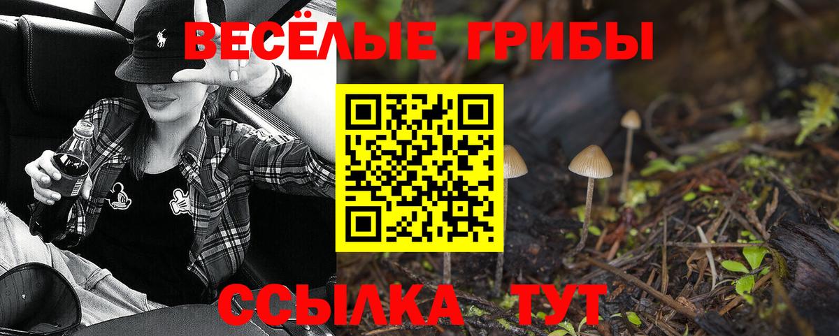 Галлюциногенные грибы прущие грибы  Псилоцибиновые грибы Magic Shrooms  Вход с VPN  Юрга 